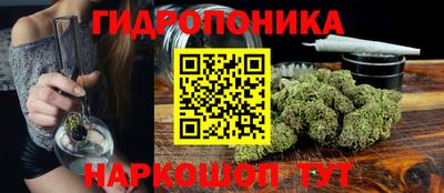 шишки Славгород