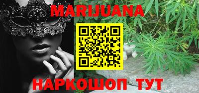 шишки Славгород