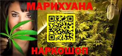 шишки Славгород