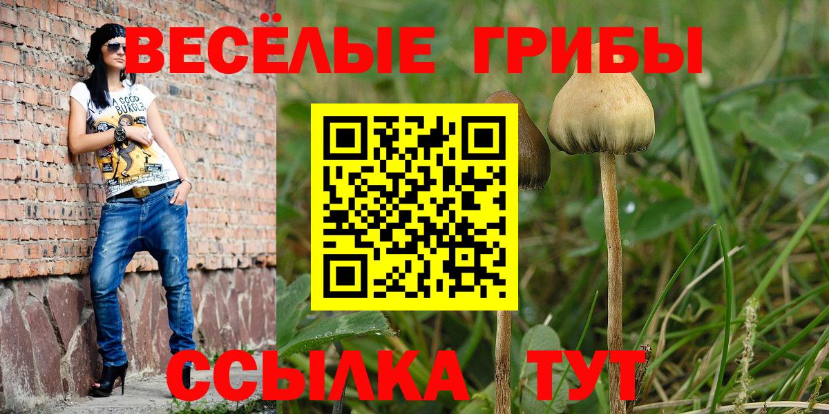 Псилоцибиновые грибы GOLDEN TEACHER Отрадный