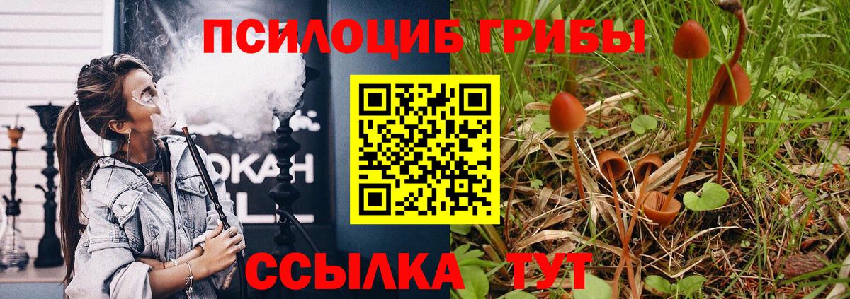 Псилоцибиновые грибы MAGIC MUSHROOMS  Галлюциногенные грибы мухоморы  Вход с VPN  Отрадный 